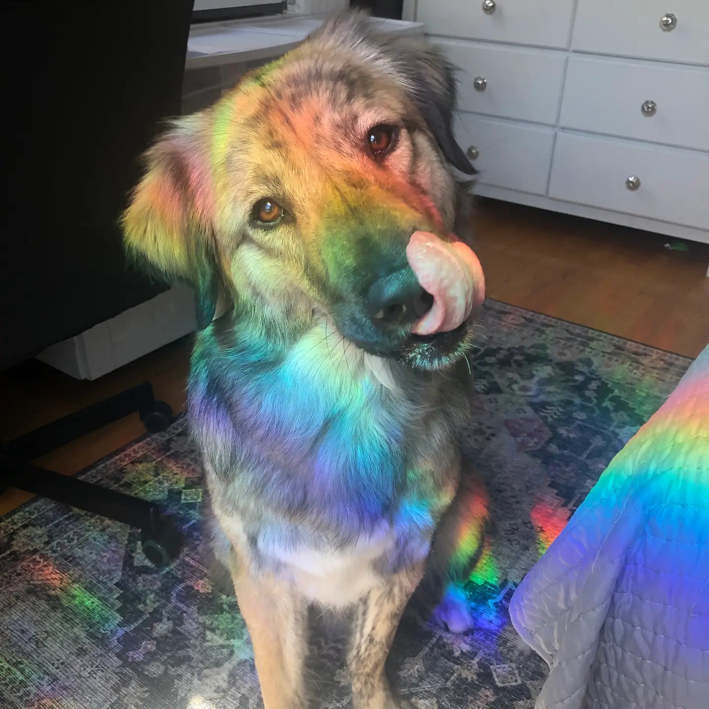 Disco Ball Rainbow Maker